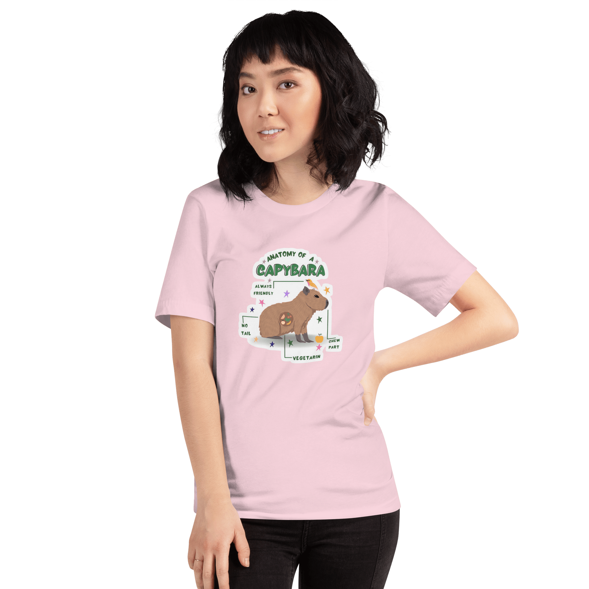 Anatomy of a Capybara Classic T-Shirt Meme - Athletic Heather | Shirtposting