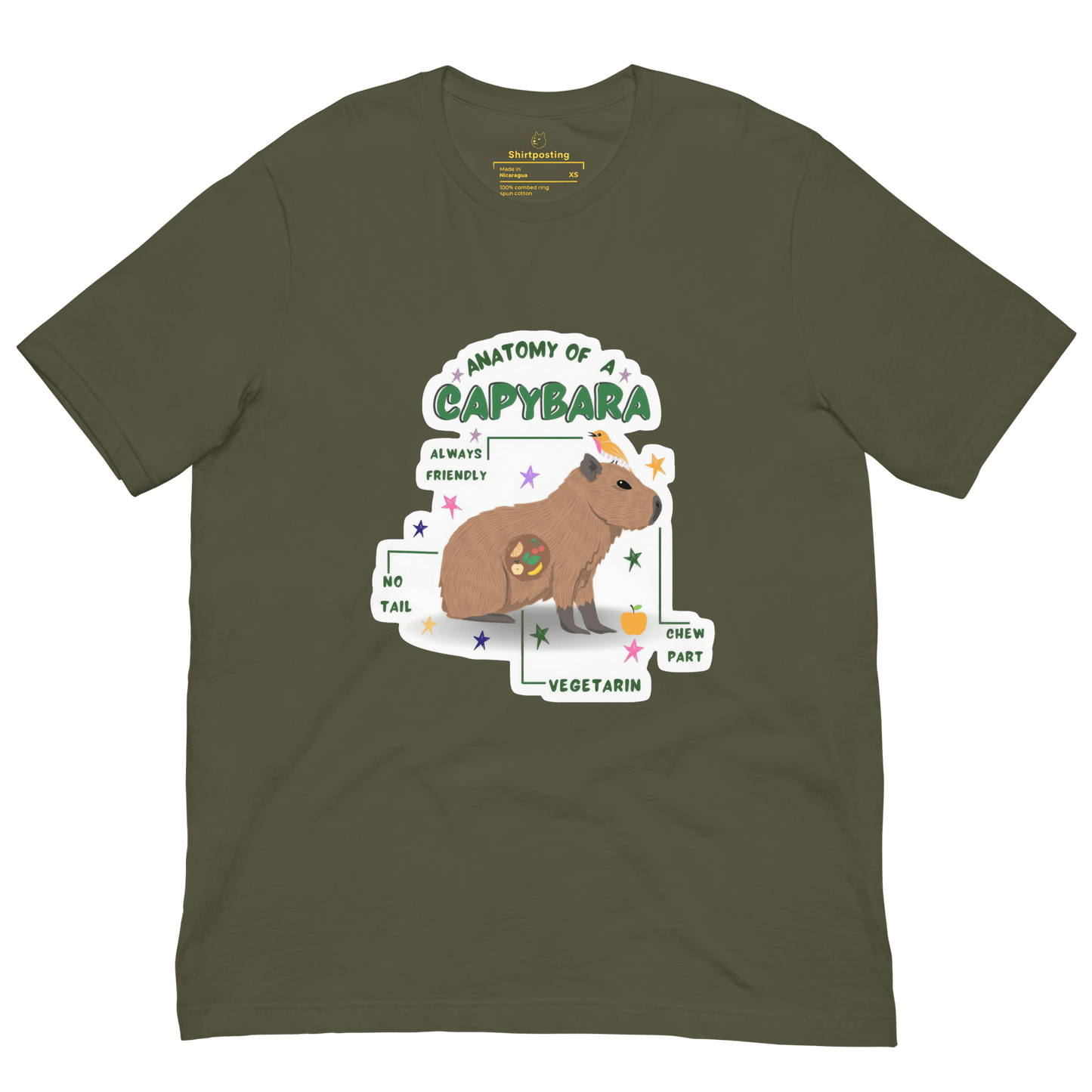 Anatomy of a Capybara Classic T-Shirt Meme - Military Green | Shirtposting