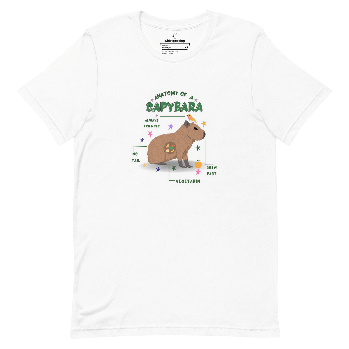 Anatomy of a Capybara Classic T-Shirt Meme - White | Shirtposting