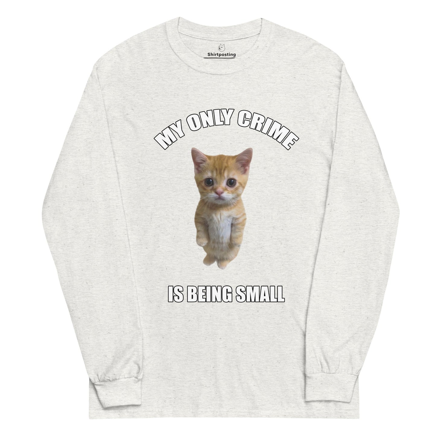 Being Small Long Sleeve T-Shirt Meme - Ash | Shirtposting