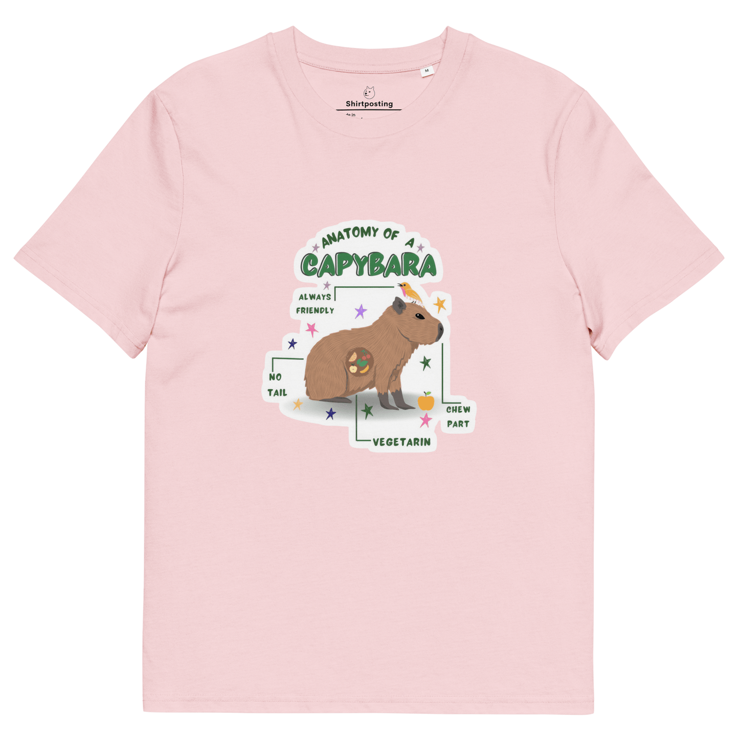 Capybara Premium Organic T-Shirt Meme - Cotton Pink | Shirtposting