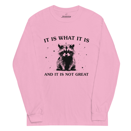 It Is What It Is Long Sleeve T-Shirt Meme - Light Pink | Shirtposting