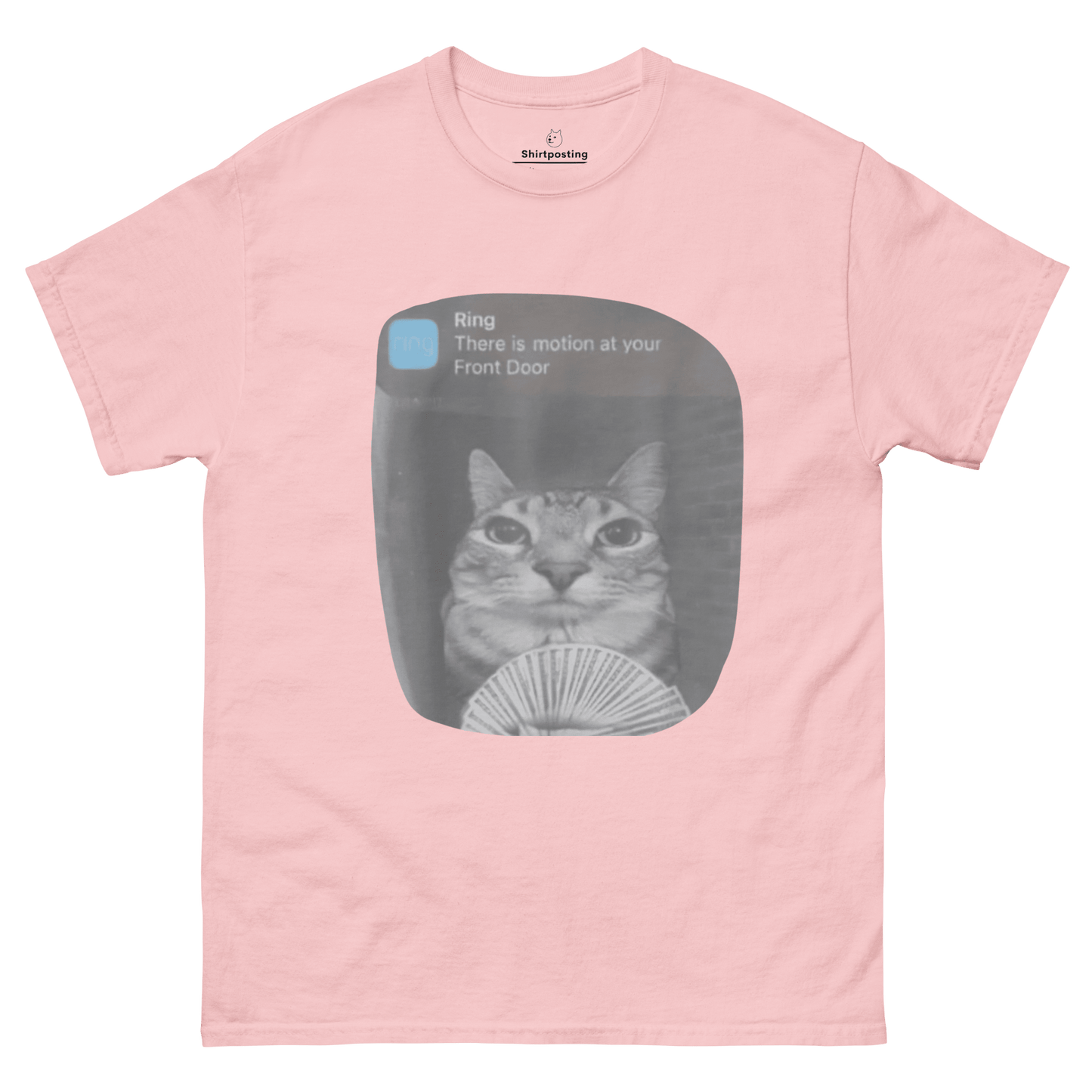 There is Motion at Your Front Door Classic T-Shirt Meme - Light Pink | Shirtposting